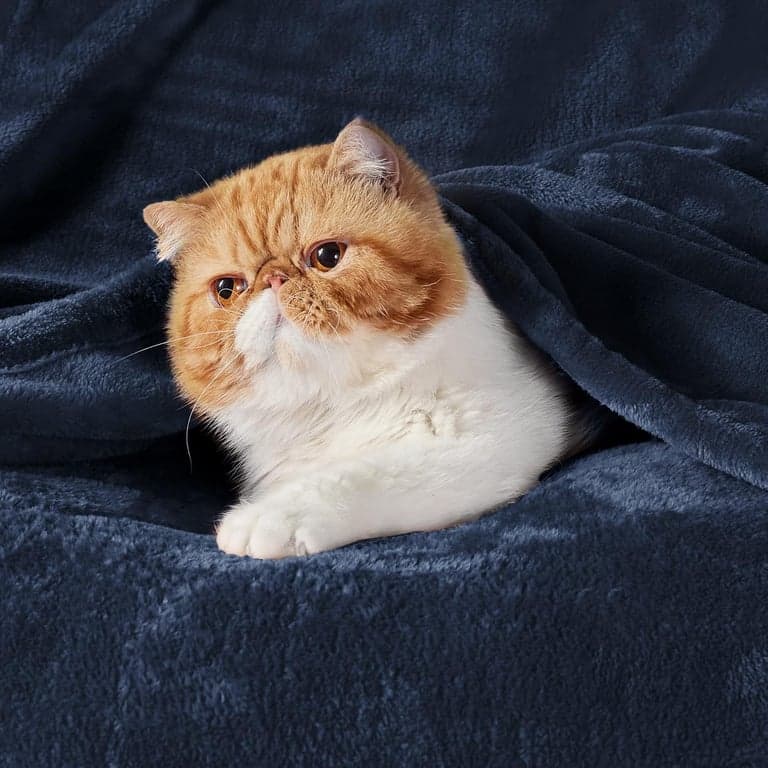 Bedsure Fleece Throw Blanket Navy and Wine - vista alternativa