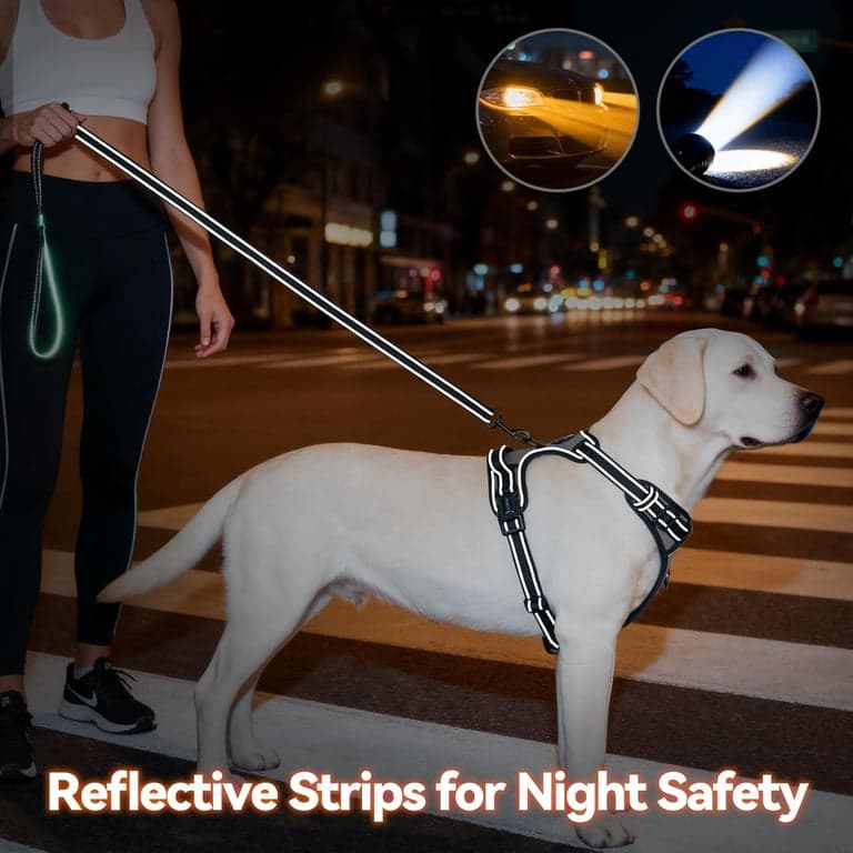PHOEPET Arnés para Perro sin Tirones Mediano Reflectante con Clip Frontal y Asa - imagen 4