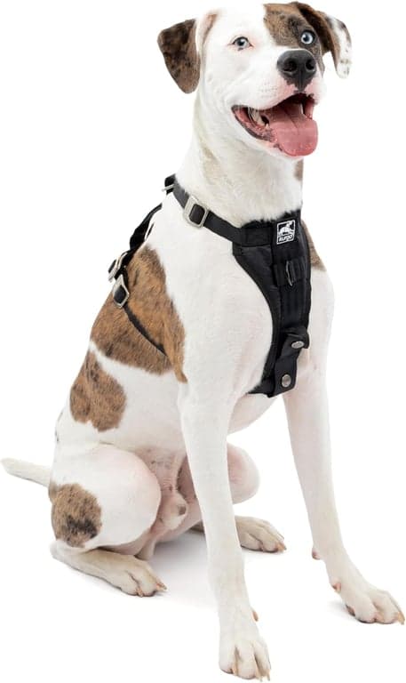 Kurgo Enhanced Strength Tru-Fit Smart Harness, Negro, Mediano