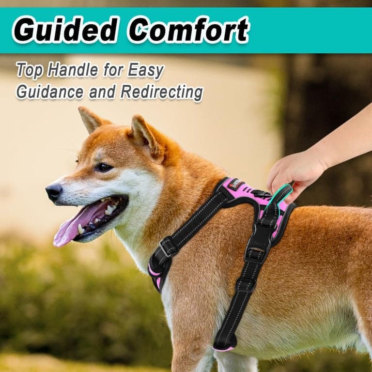Arnés para perro BARKBAY para perro grande sin tirones, 2 clips para correa, chaleco para perro - imagen 3