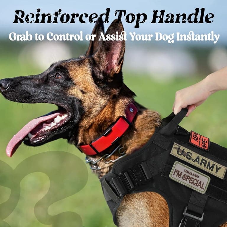 rabbitgoo Arnés táctico para perros grandes, chaleco militar resistente sin tirones - imagen 3
