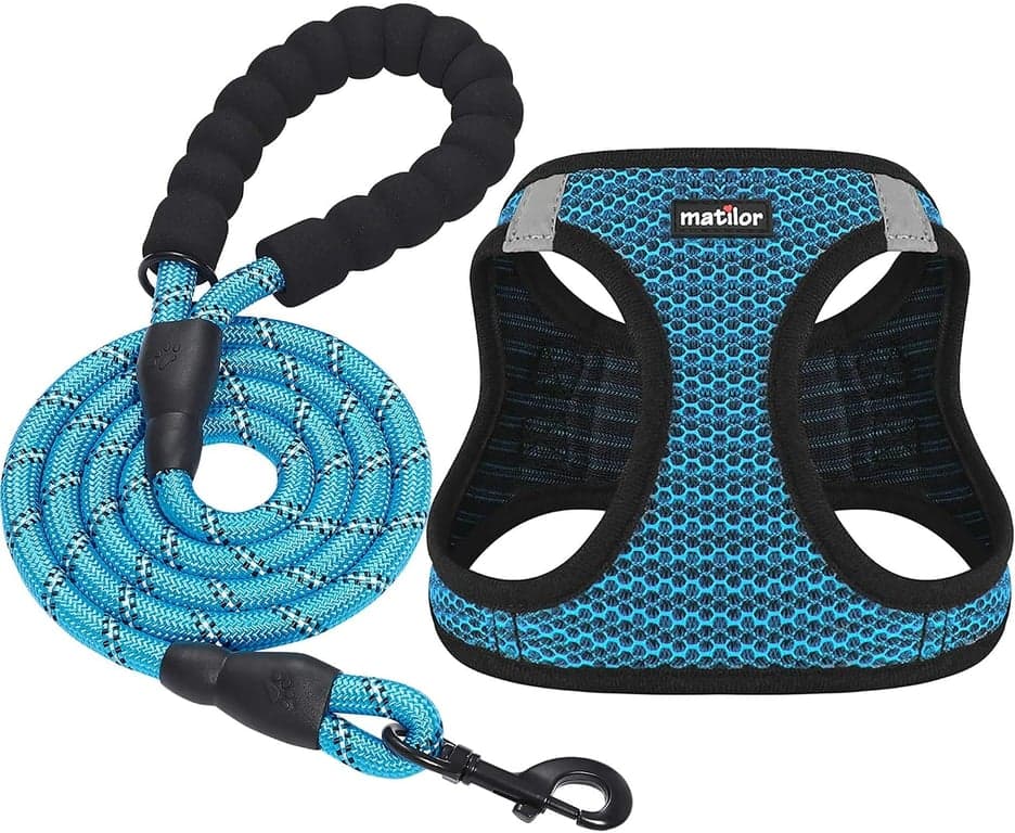 Arnés para perro, tipo chaleco transpirable para cachorros y gatos, mediano, azul