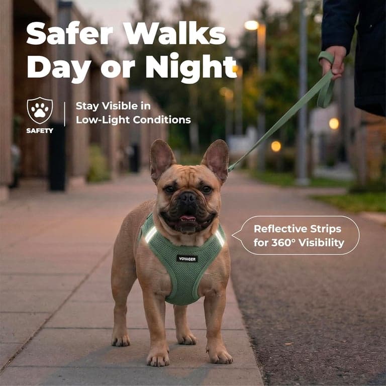 Arnés de chaleco Voyager Step-in Air para perro - Verde musgo, Pequeño - imagen 3