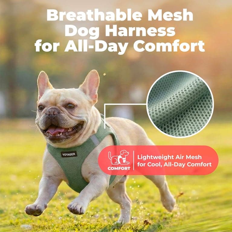 Arnés de chaleco Voyager Step-in Air para perro - Verde musgo, Pequeño - imagen 4
