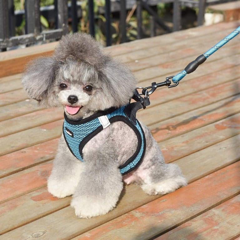 Arnés para perro, tipo chaleco transpirable para cachorros y gatos, mediano, azul - imagen 5