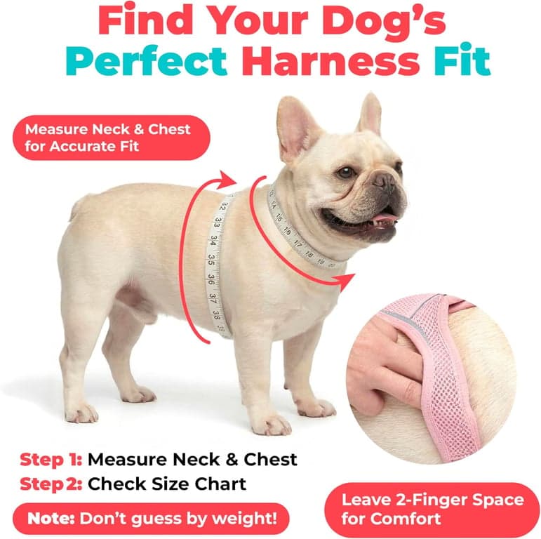 Arnés de chaleco Voyager Step-in Air para perro - Verde musgo, Pequeño - imagen 5