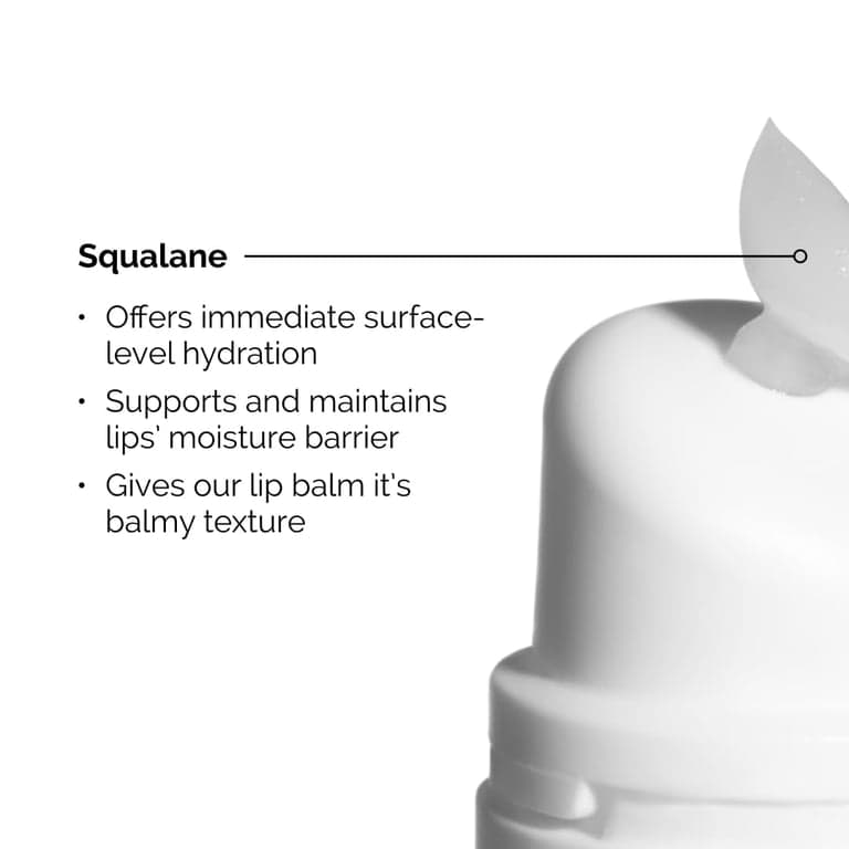 The Ordinary Lip Care Duo - Set de Cuidado de Labios - Suero Exfoliante Labial PHA 5% 0.5 Fl Oz + Bálsamo de Escualano y Aminoácidos - imagen 4