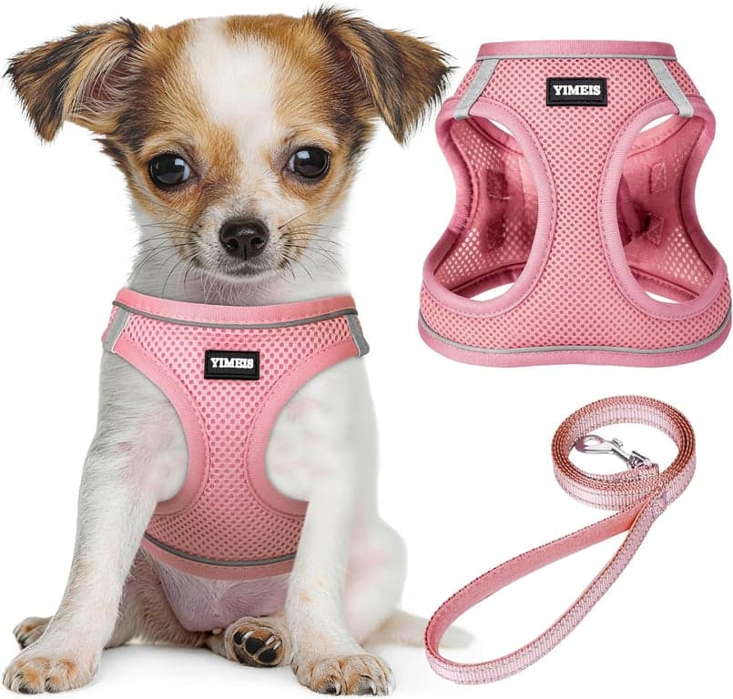 Arnés y correa reflectantes de malla para perro, sin tirones, talla XS