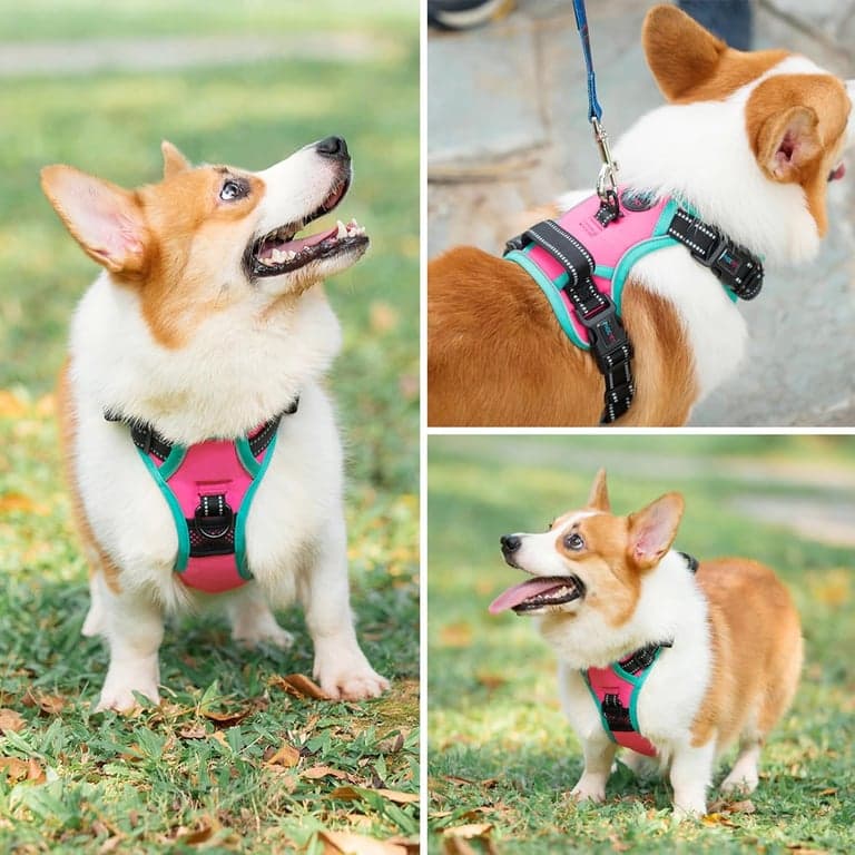 PHOEPET Arnés para perro mejorado sin tirones, chaleco reflectante ajustable - imagen 5
