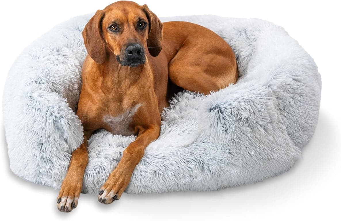 Cama para Perro Best Friends by Sheri Lounge, Pelo Sintético Shag, Frost, Grande 36" x 27"