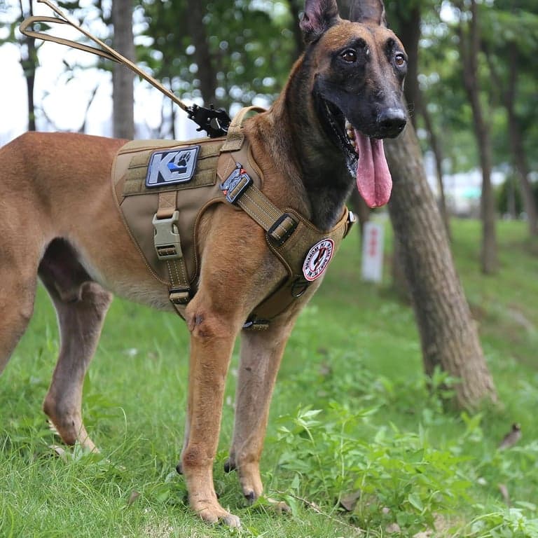 Arnés táctico para perros ICEFANG para perros grandes, chaleco reflectante antipull para perros - imagen 3