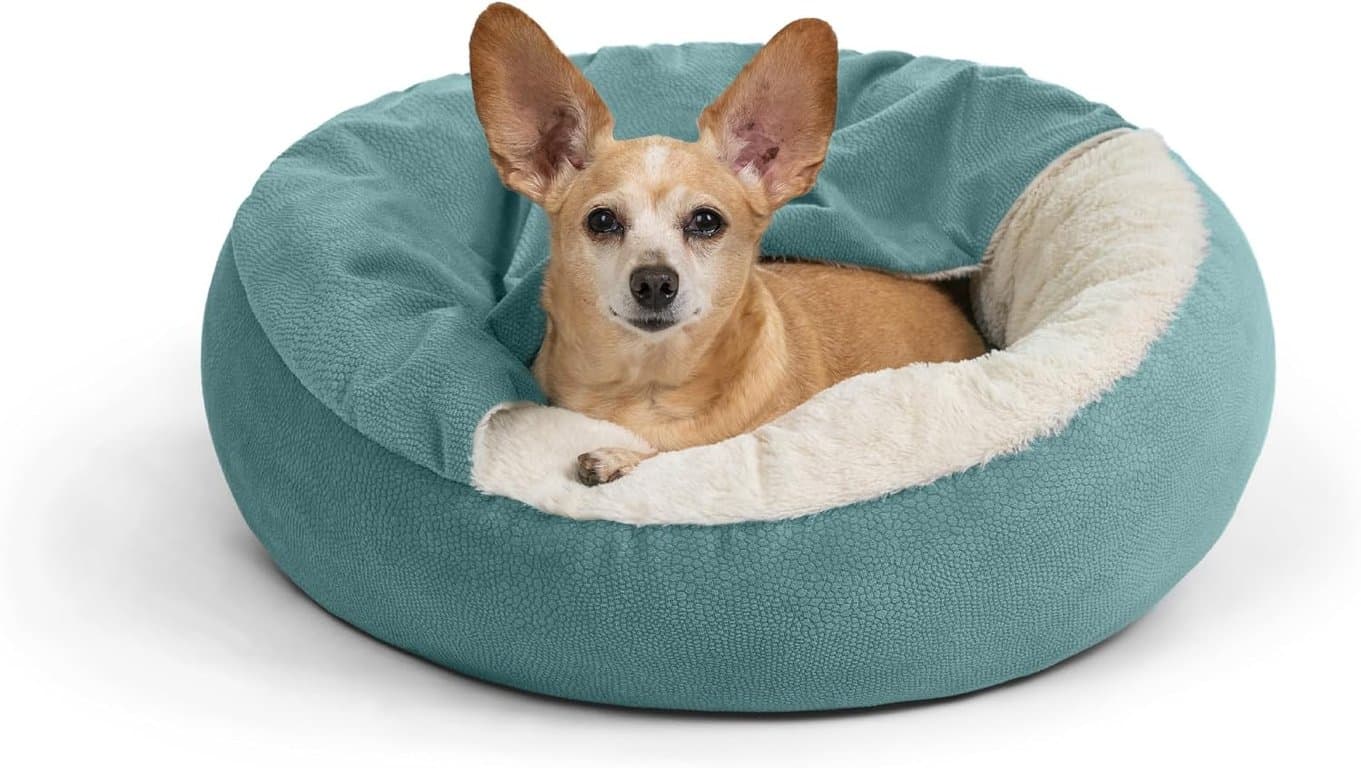 Cama para gato y perro Best Friends by Sheri Cozy Cuddler Ilan con manta adjunta, azul Tide Pool, 24"x24"