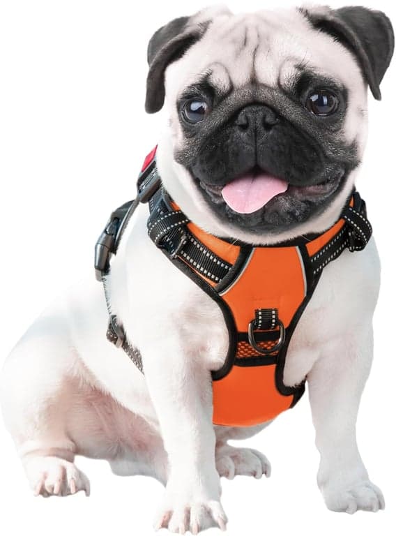 PHOEPET Arnés para Perro sin Tirones Mediano Reflectante con Clip Frontal y Asa - imagen 5