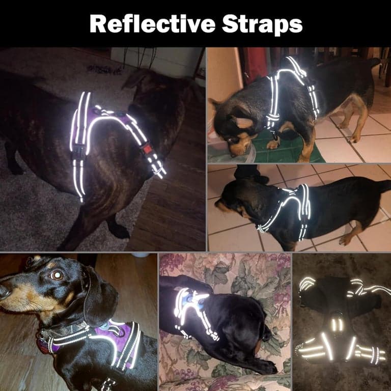 PHOEPET Arnés para Perro sin Tirones Mediano Reflectante con Clip Frontal y Asa - imagen 4