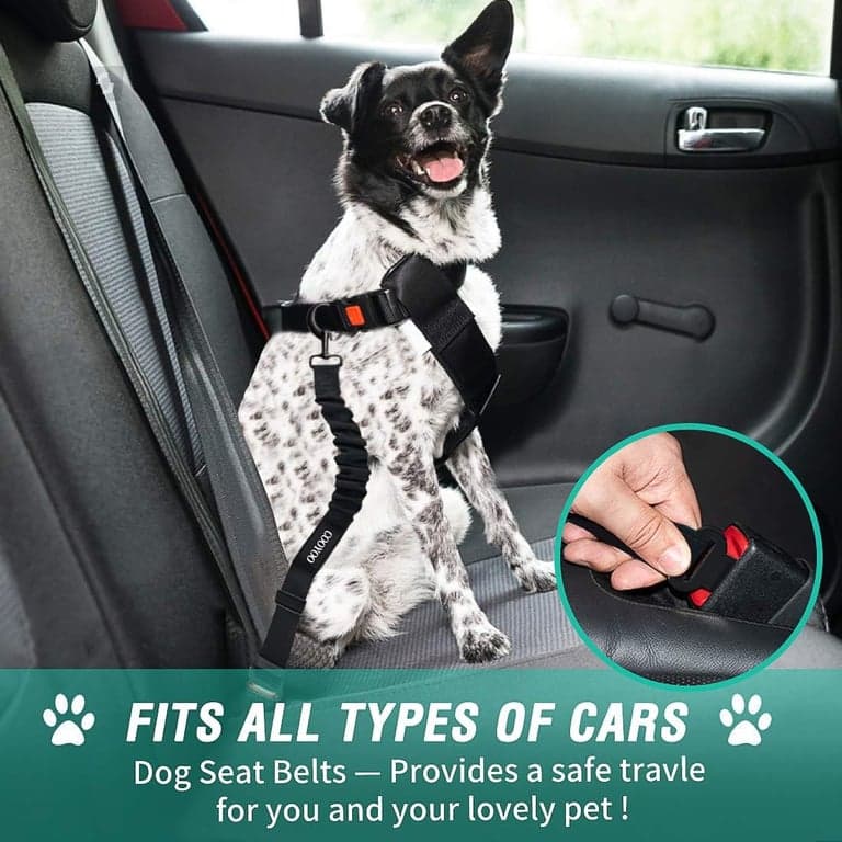 COOYOO Cinturón de seguridad para perros, juego de 3 piezas retráctil, arnés para coche, cinturón de seguridad ajustable para perros para vehículos, cinturones de seguridad de nailon para mascotas, resistentes y elásticos - vista alternativa