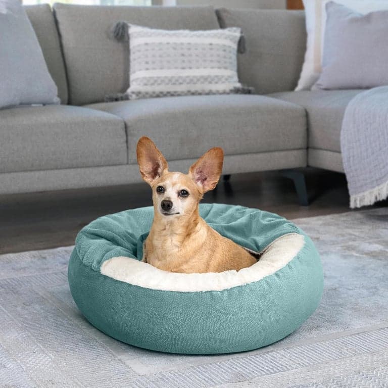 Cama para gato y perro Best Friends by Sheri Cozy Cuddler Ilan con manta adjunta, azul Tide Pool, 24"x24" - imagen 5