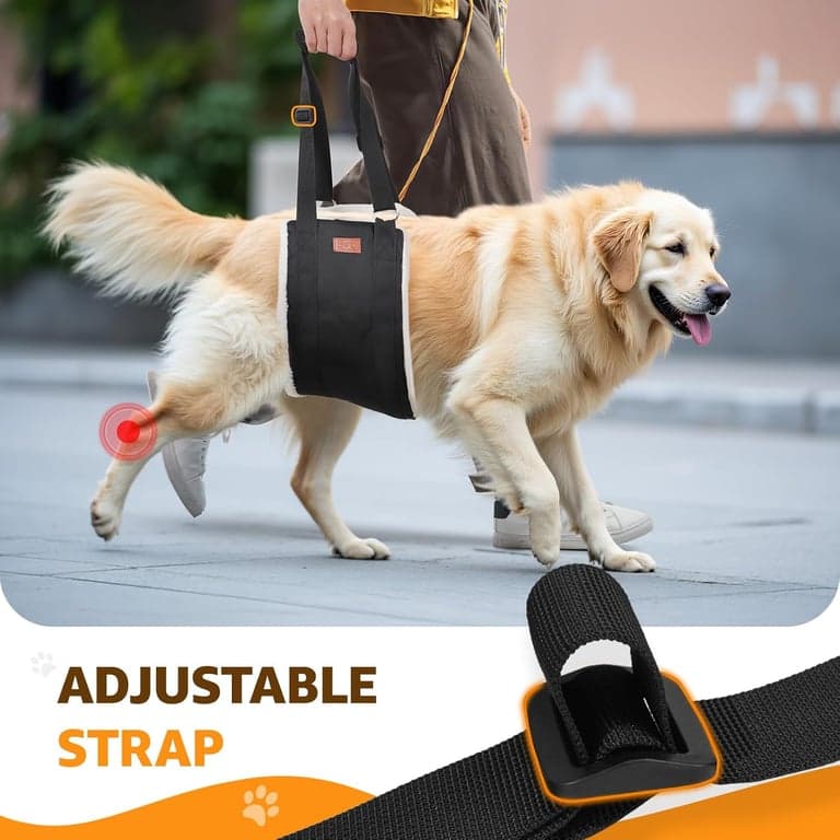 Arnés ajustable para perros grandes, soporte para patas traseras, ayuda para la movilidad de patas débiles - imagen 6
