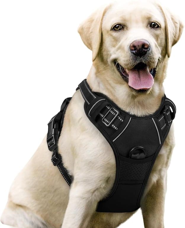 rabbitgoo Arnés para Perros, Sin Tirones para Perros Grandes con 2 Clips para Correa, Chaleco para Mascotas