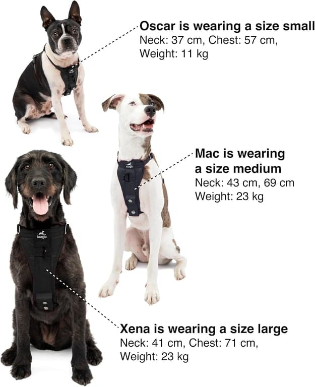 Kurgo Enhanced Strength Tru-Fit Smart Harness, Negro, Mediano - imagen 5